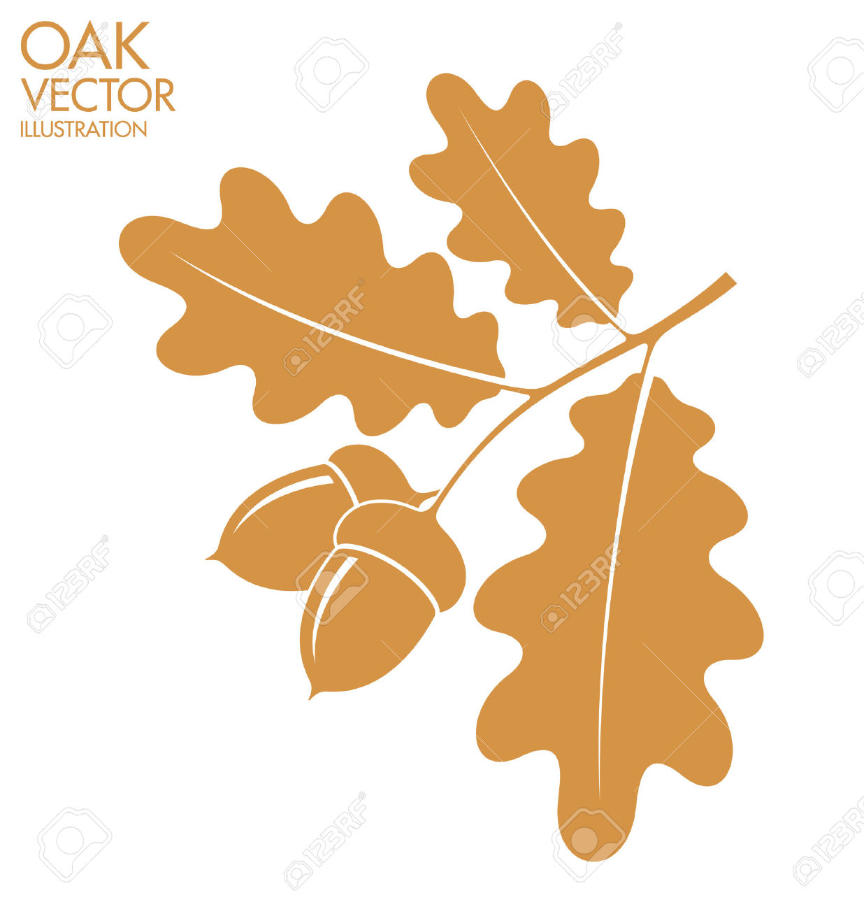 Acorn clipart oak leave. Leaves and acorns station
