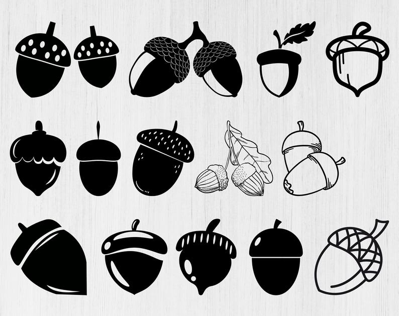 acorn clipart black and whit