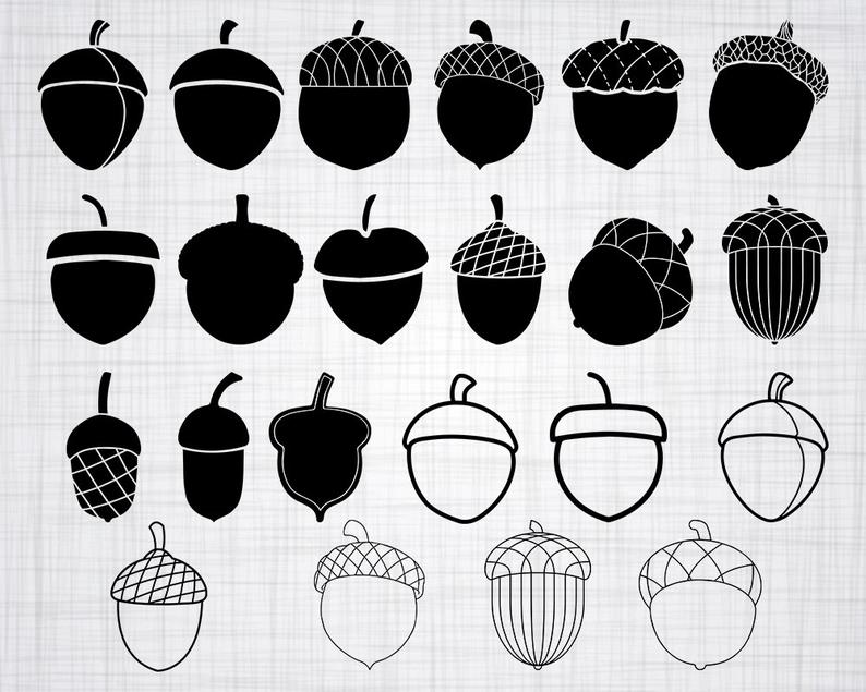 Svg bundle cut files. Acorn clipart silhouette