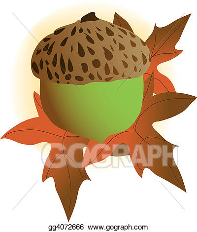 Acorn clipart single. Stock illustration gg gograph