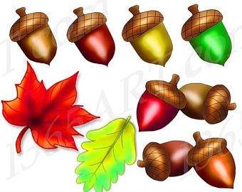 acorn clipart wreath