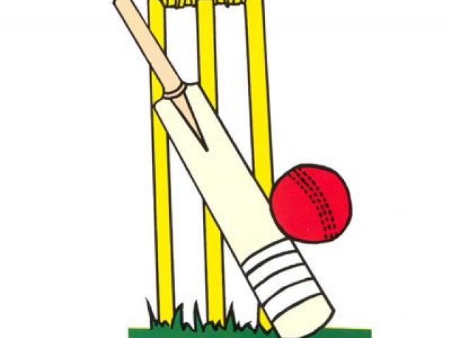 action clipart cricket