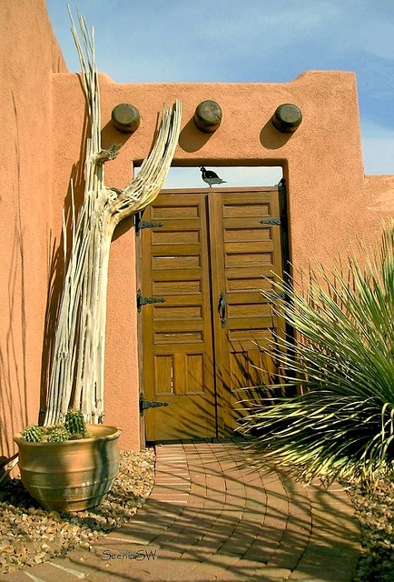 Adobe clipart desert house.  best images on