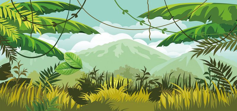 rainforest clipart jungle adventure