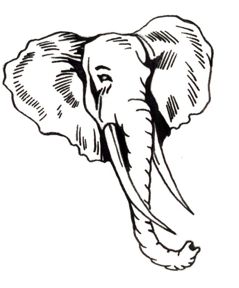Africa clipart line drawing. Simple elephant at getdrawings