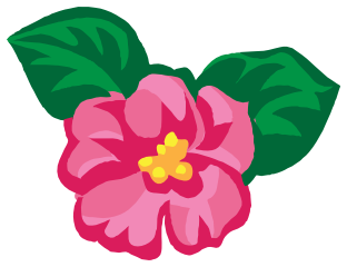 African violet clip art. Africa clipart pink