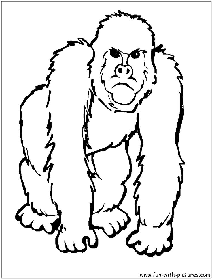 Africa clipart sketch. Animal science pencil and