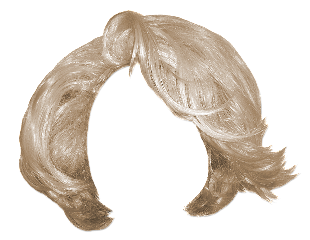 hair clipart realistic