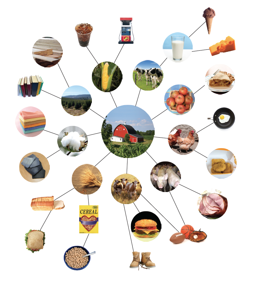 National in the classroom. Agriculture clipart agricultural activity