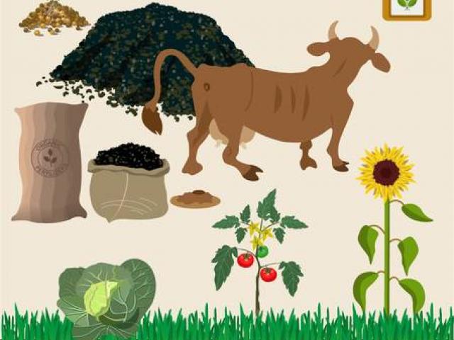 Free rural download clip. Agriculture clipart agricultural activity