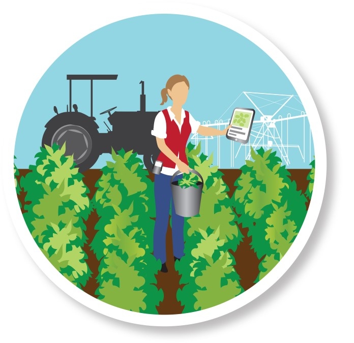 Using agtech to weather. Agriculture clipart agricultural production