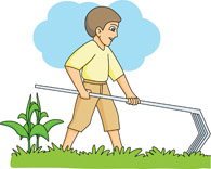 Search results for clip. Agriculture clipart agriculture field