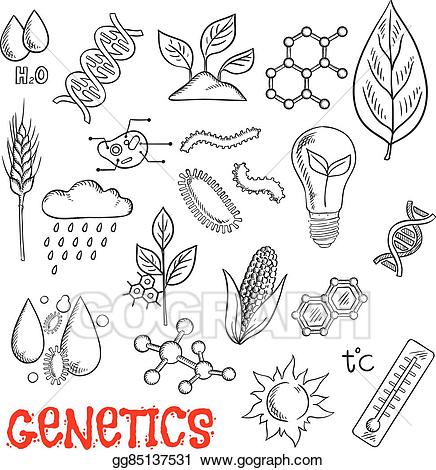 Vector and genetic sketch. Agriculture clipart agriculture technology