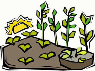 crops clipart agricultural crop