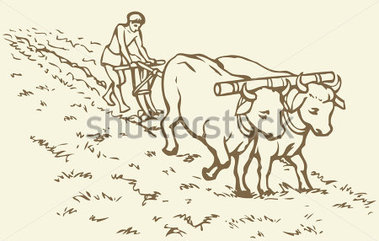  collection of indian. Agriculture clipart drawing