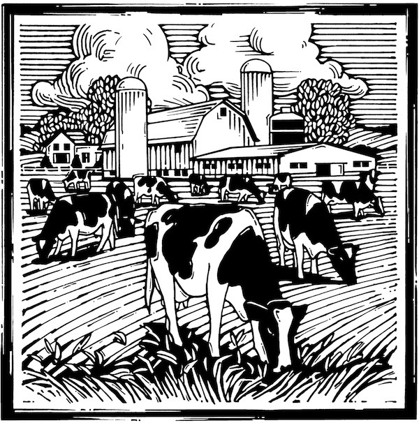 Agriculture clipart drawing.  best farm drawings