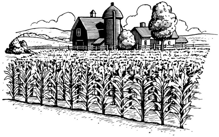 farming clipart farm scene