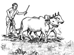 agriculture clipart farmer indian