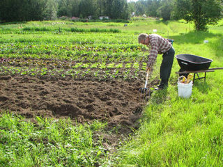 agriculture clipart land preparation