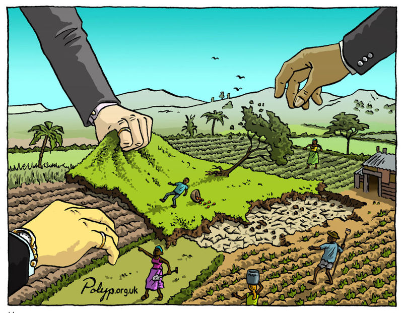 Grain seized the landgrab. Agriculture clipart land reform