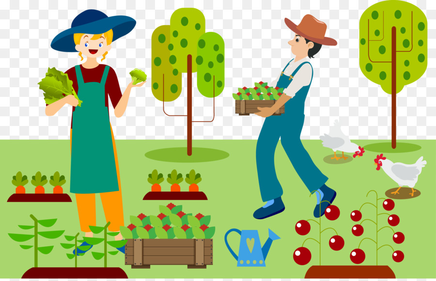 Farmer drawing picking vegetables. Agriculture clipart organic farming
