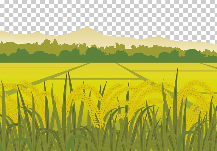 rice clipart agriculture