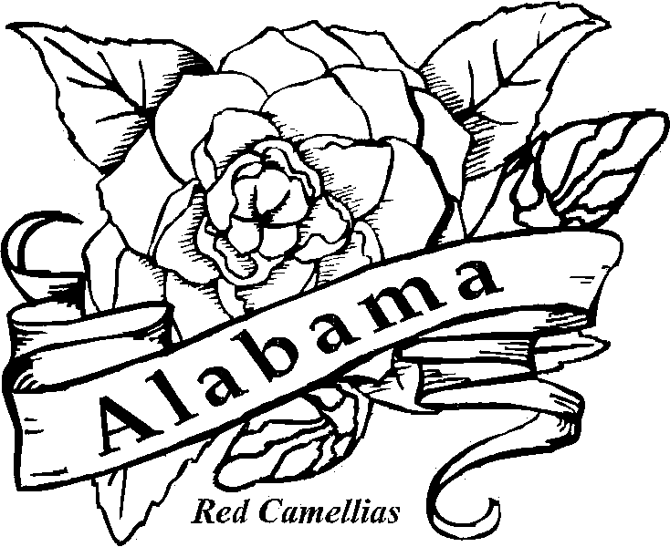 Free download best on. Alabama clipart drawing