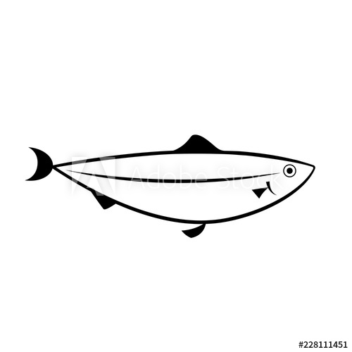 salmon clipart thin fish