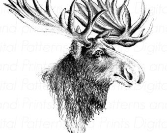 alaska clipart sketch