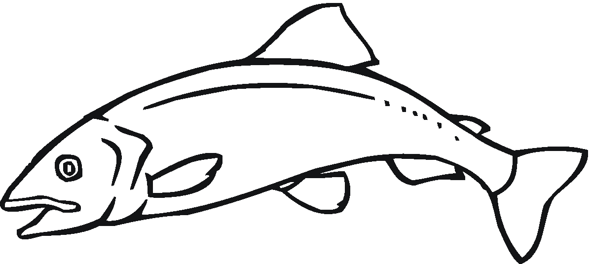 salmon clipart sketch