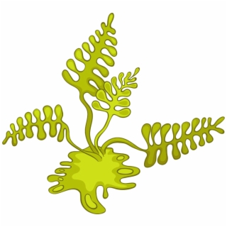 algae clipart animated