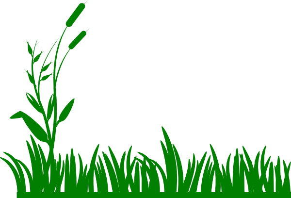 bushes clipart grass