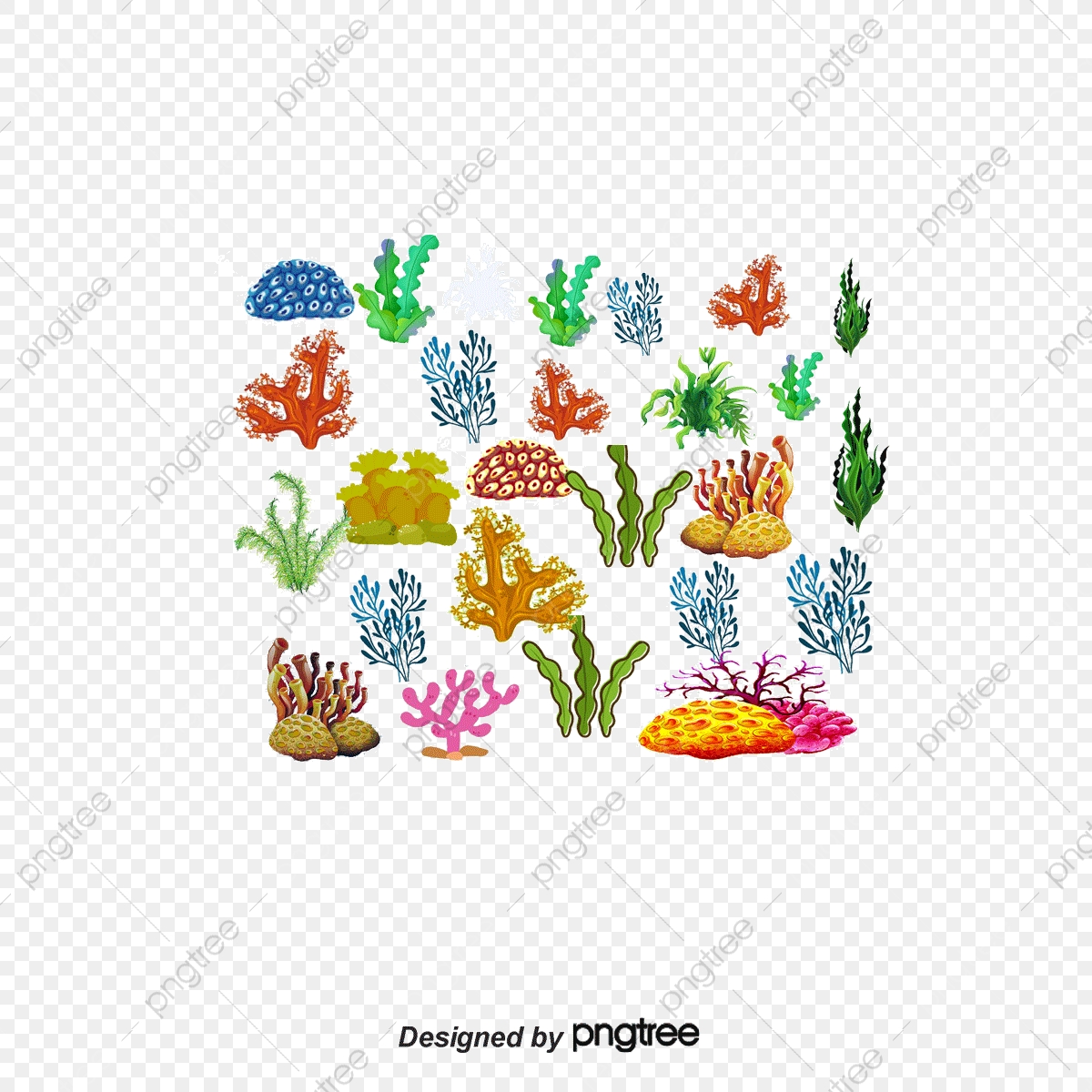Corals and marine plants. Algae clipart colorful