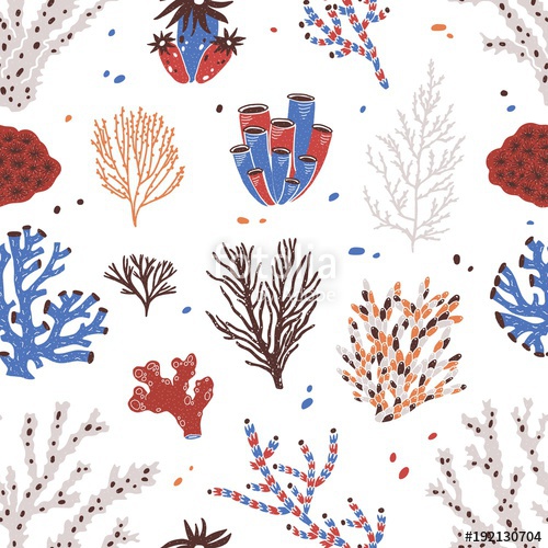 Algae clipart colorful. Seamless pattern with various