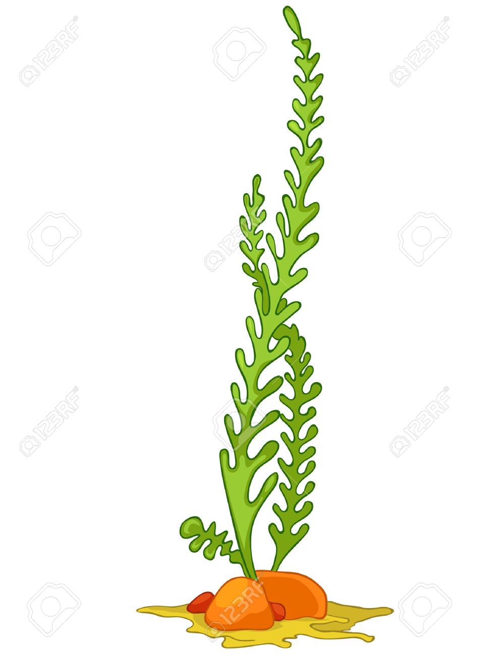 Algae clipart colorful. Coloring pages for teenagers