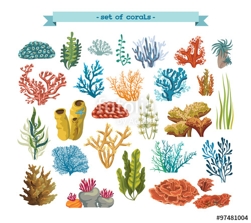 Algae clipart colorful. Set of corals and