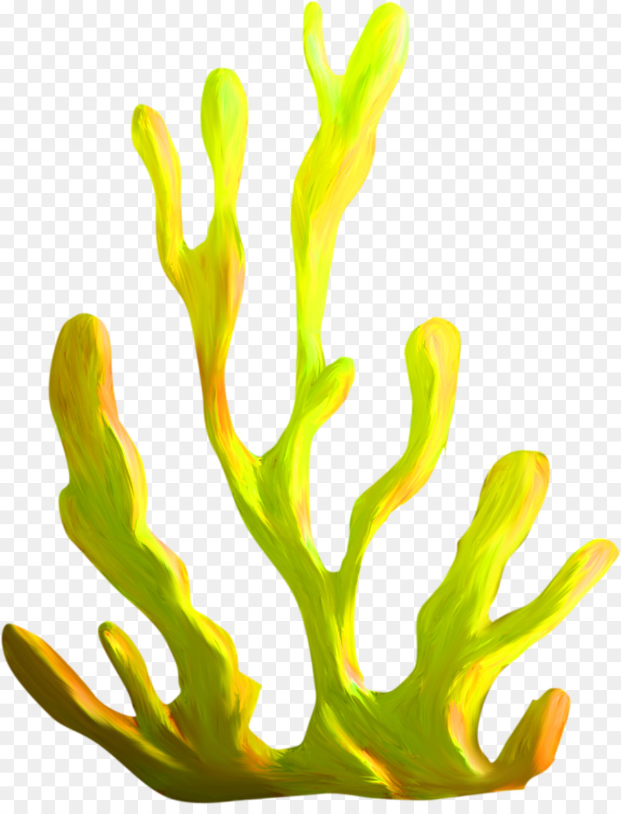 algae clipart coral