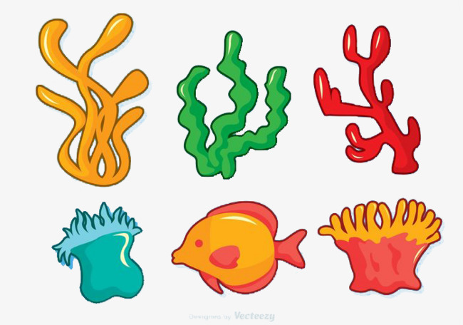 Vector beautiful and interesting. Algae clipart coral reef
