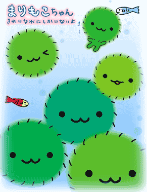 algae clipart cute