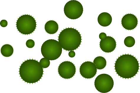 algae clipart microalgae