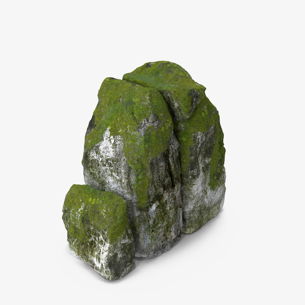 algae clipart rock