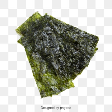 algae clipart seaweed food