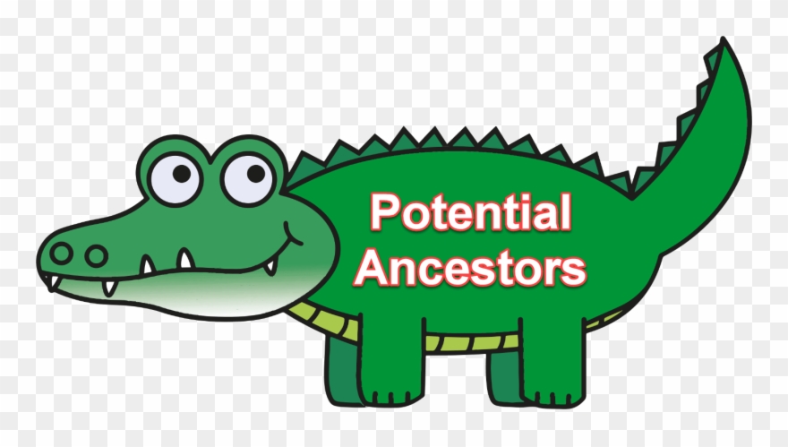 Dnaexplained genetic genealogy transparent. Alligator clipart aligator