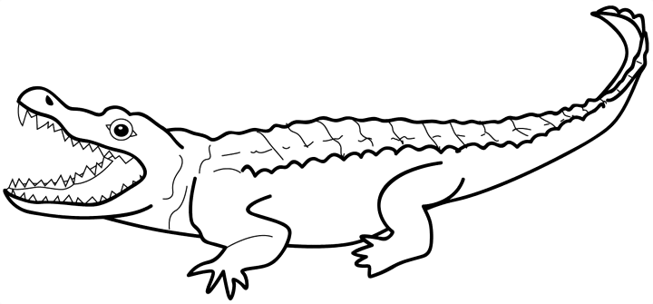 clipart alligator line art