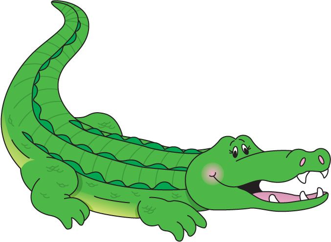 clipart alligator baby alligator