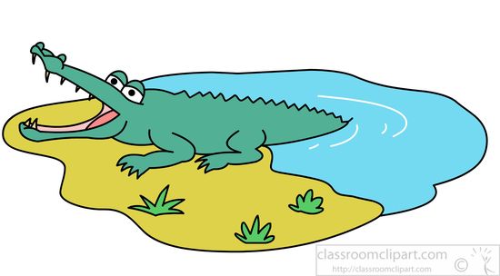 Alligator crocodile animal