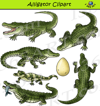 alligator clipart hand
