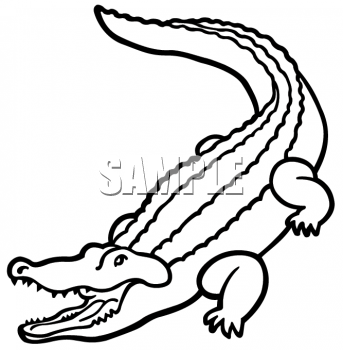alligator clipart line art