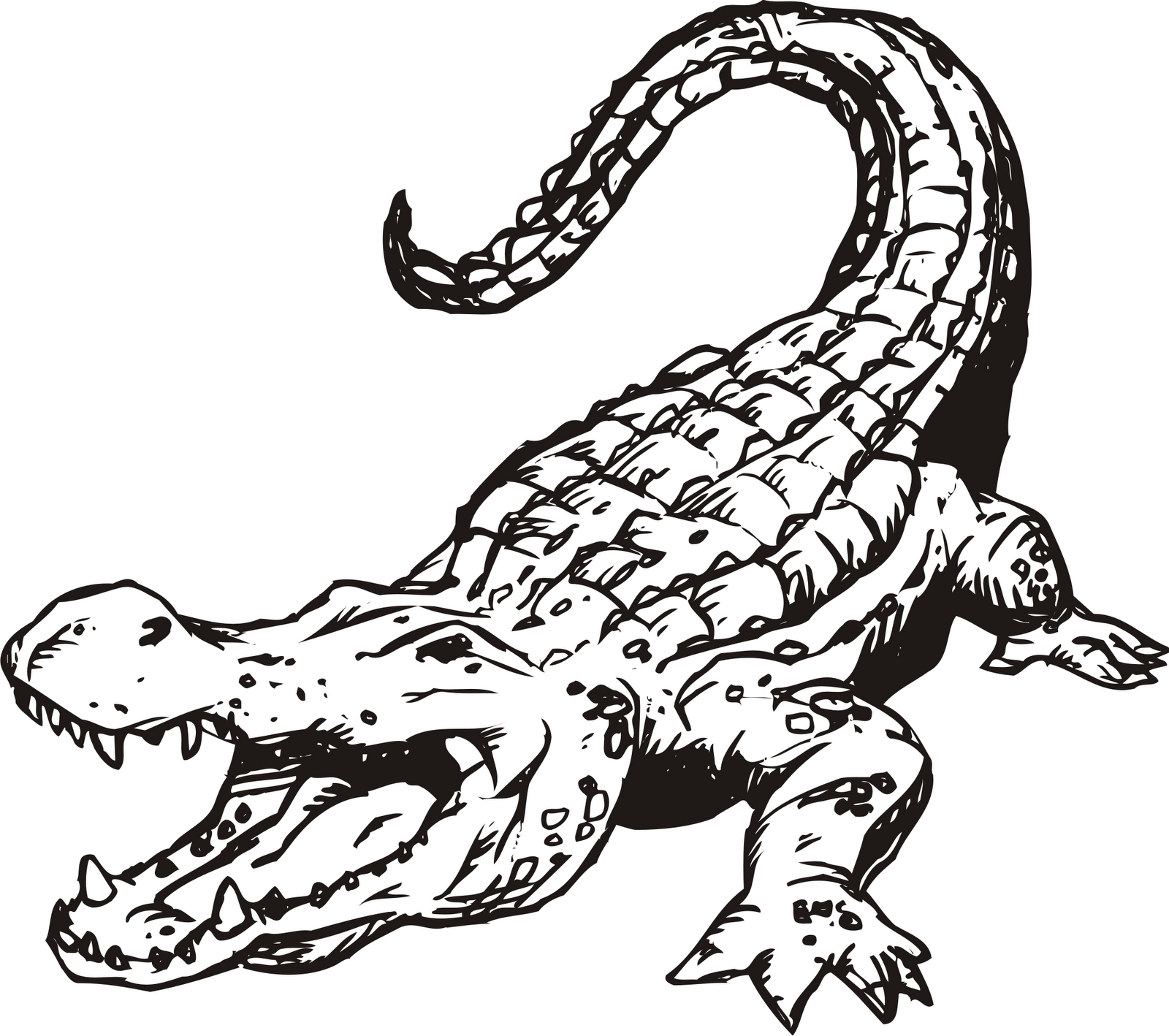 Alligator clip free clipartwiz. Crocodile clipart line art