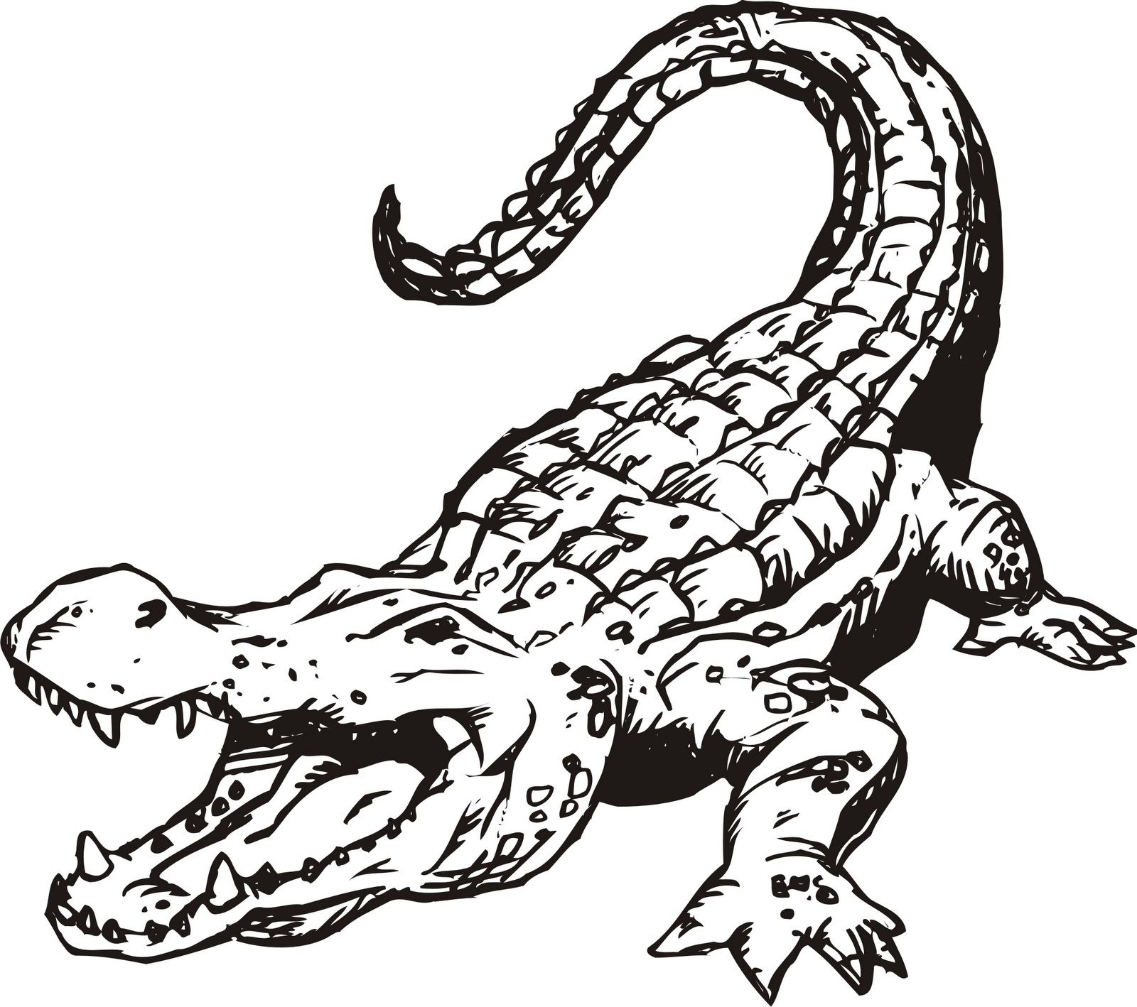 alligator clipart scary